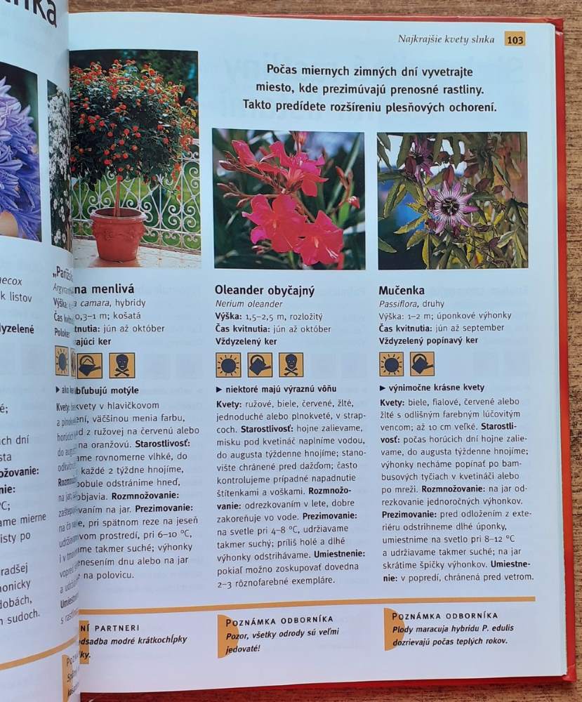 Balkónové a prenosné rastliny pre každého