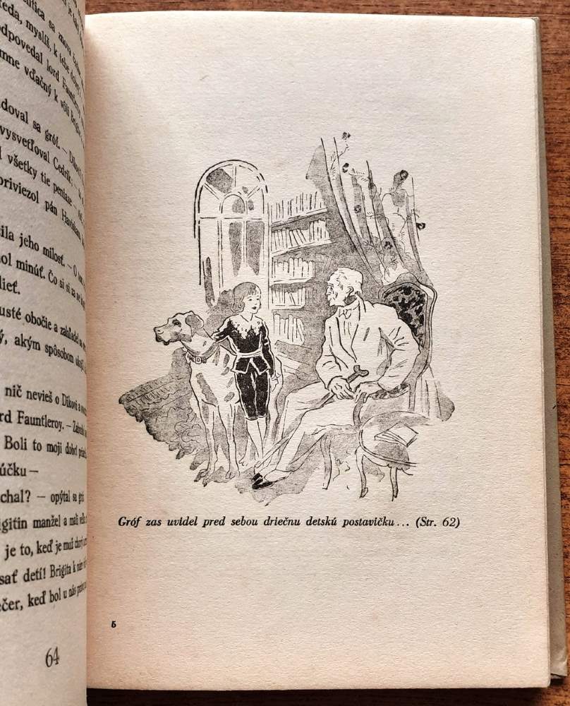 Malý lord Fauntleroy / Mladosť 19. zväzok