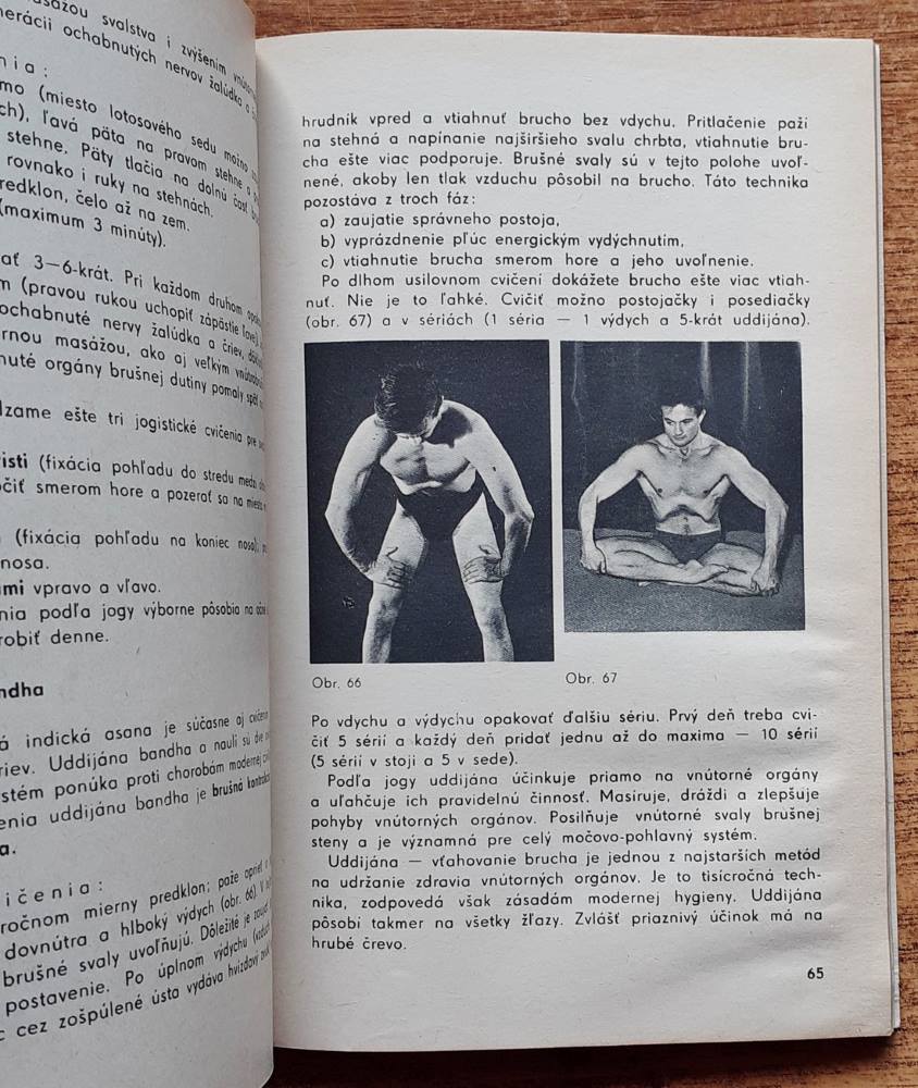 Joga / Základy telesných cvičení