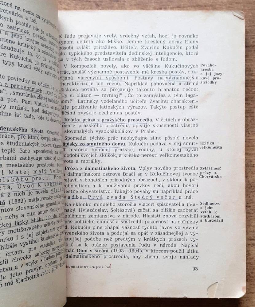 Slovenská literatúra / Učebné texty pre 2. ročník Stredných všeobecnovzdelávacích škôl