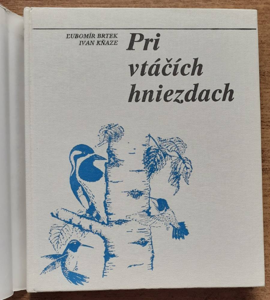 Pri vtáčích hniezdach