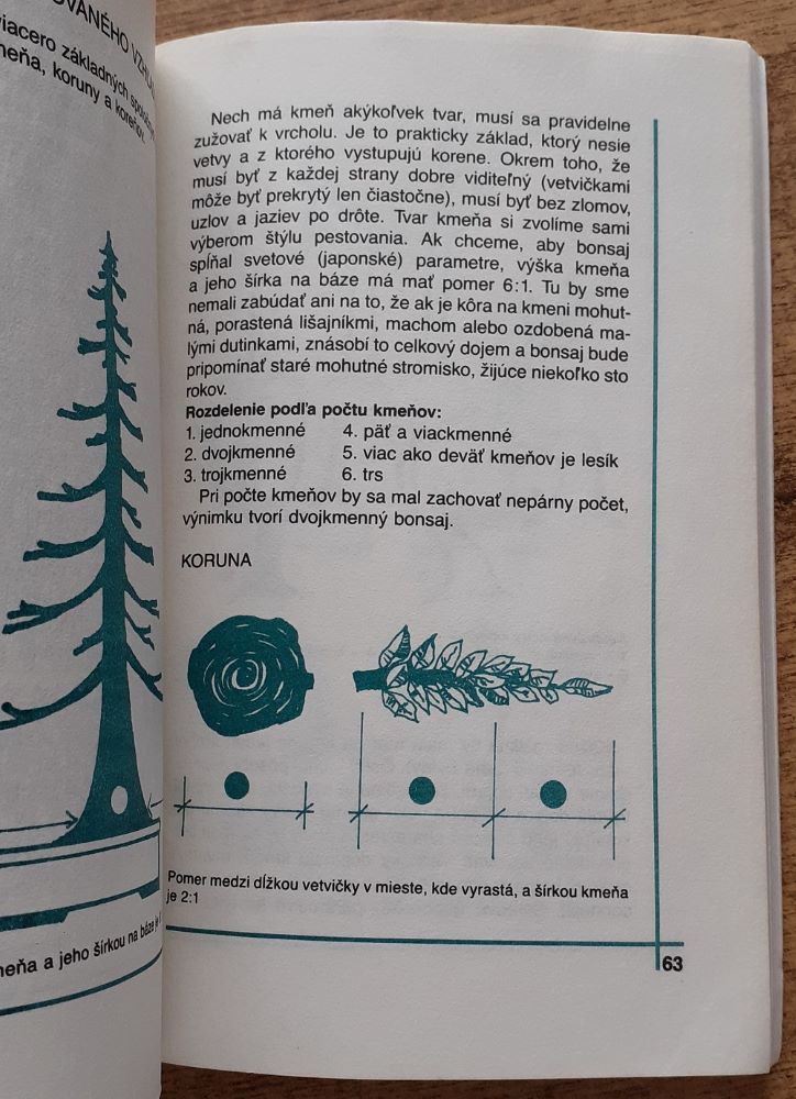 Bonsaj / Bonsai