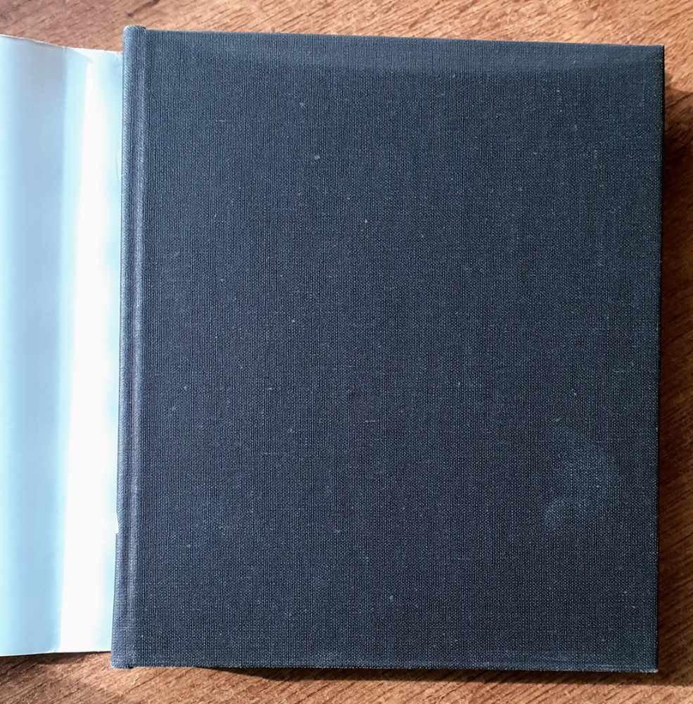 Předběžný portrét