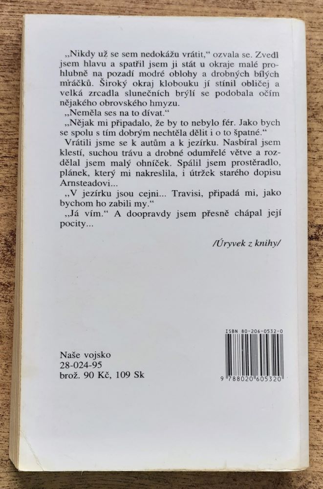 Dlouhý levandulový pohled
