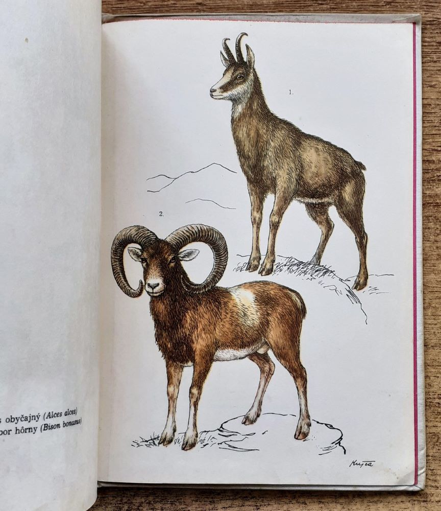 Stavovce Slovenska IV. / Cicavce