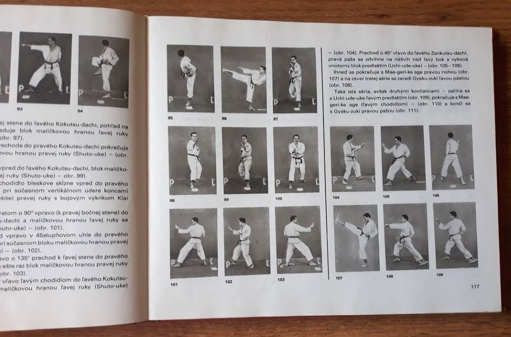 Základy sebaobrany / Karate