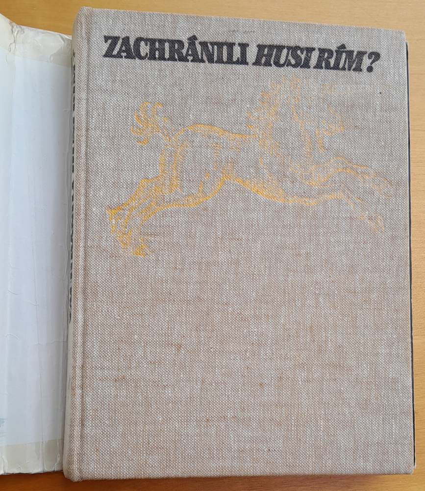 Zachránili husi Rím?