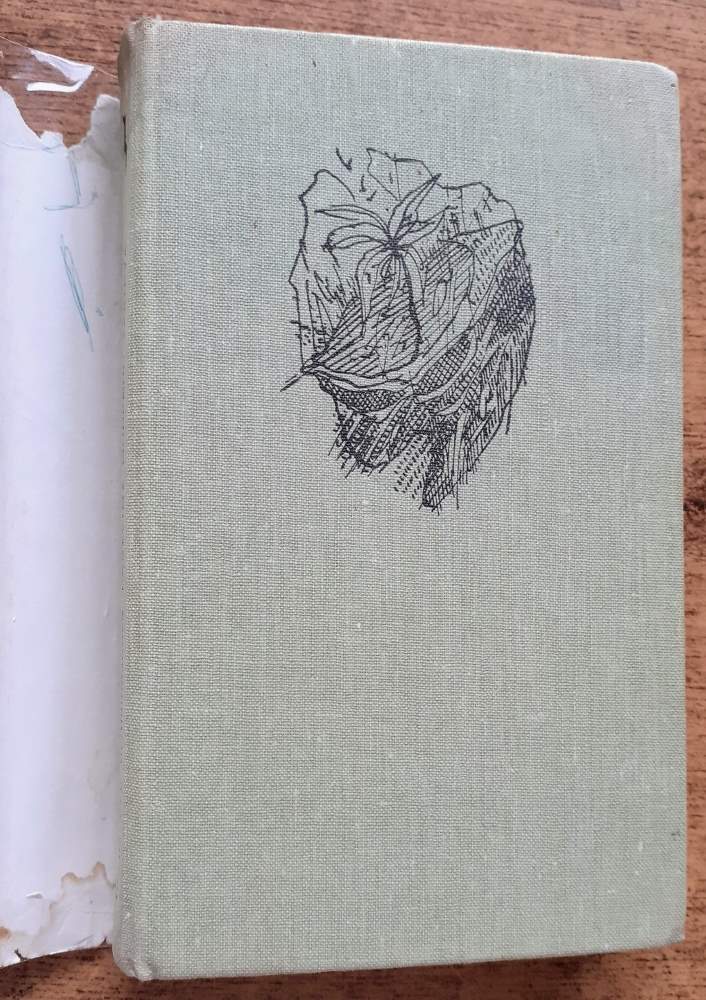 Pastviny modrého žeriava / Čajka