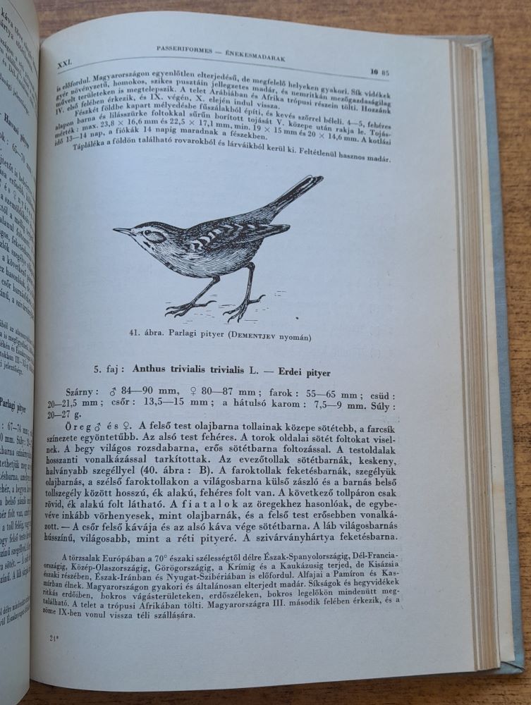 Aves madarak / Magyarország Állatvilága fauna Hungariae