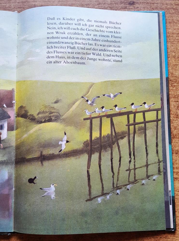 Die Geschichte vom kleinen Wruk