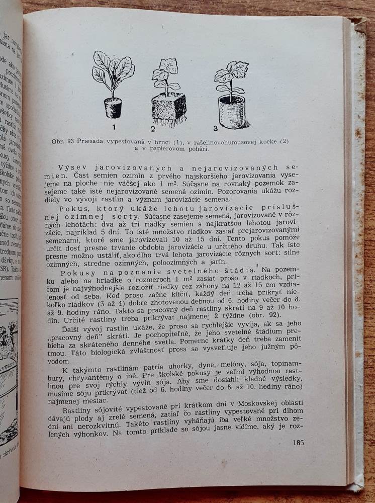 Otázky polytechnickej výchovy na dedinskej škole