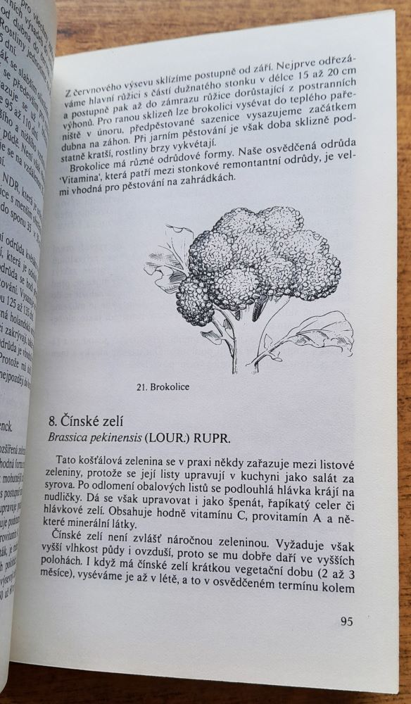 Zelenina na zahrádce