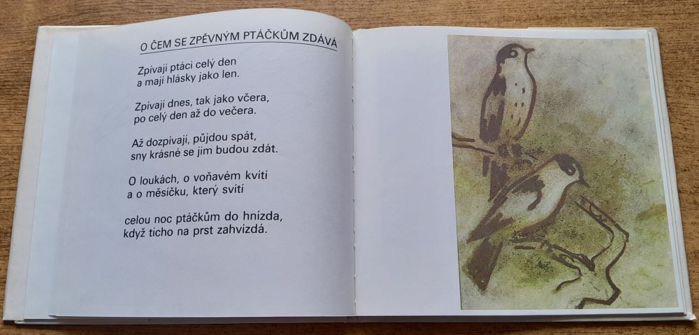 Proč ten ptáček z větve nespadne / Pre deti od 5 rokov