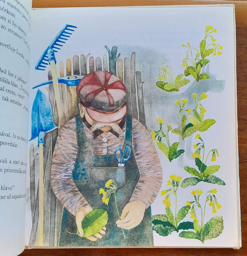 Ako Lucka vyslobodila princa Pašajdu