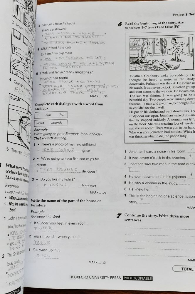 Project, Teachers book 3.