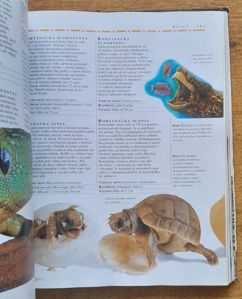 Všeobecná encyklopédia zvierat
