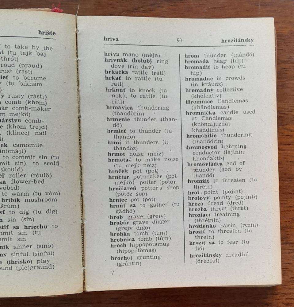 Slovník slovensko-anglický / Dictionary slovak-english