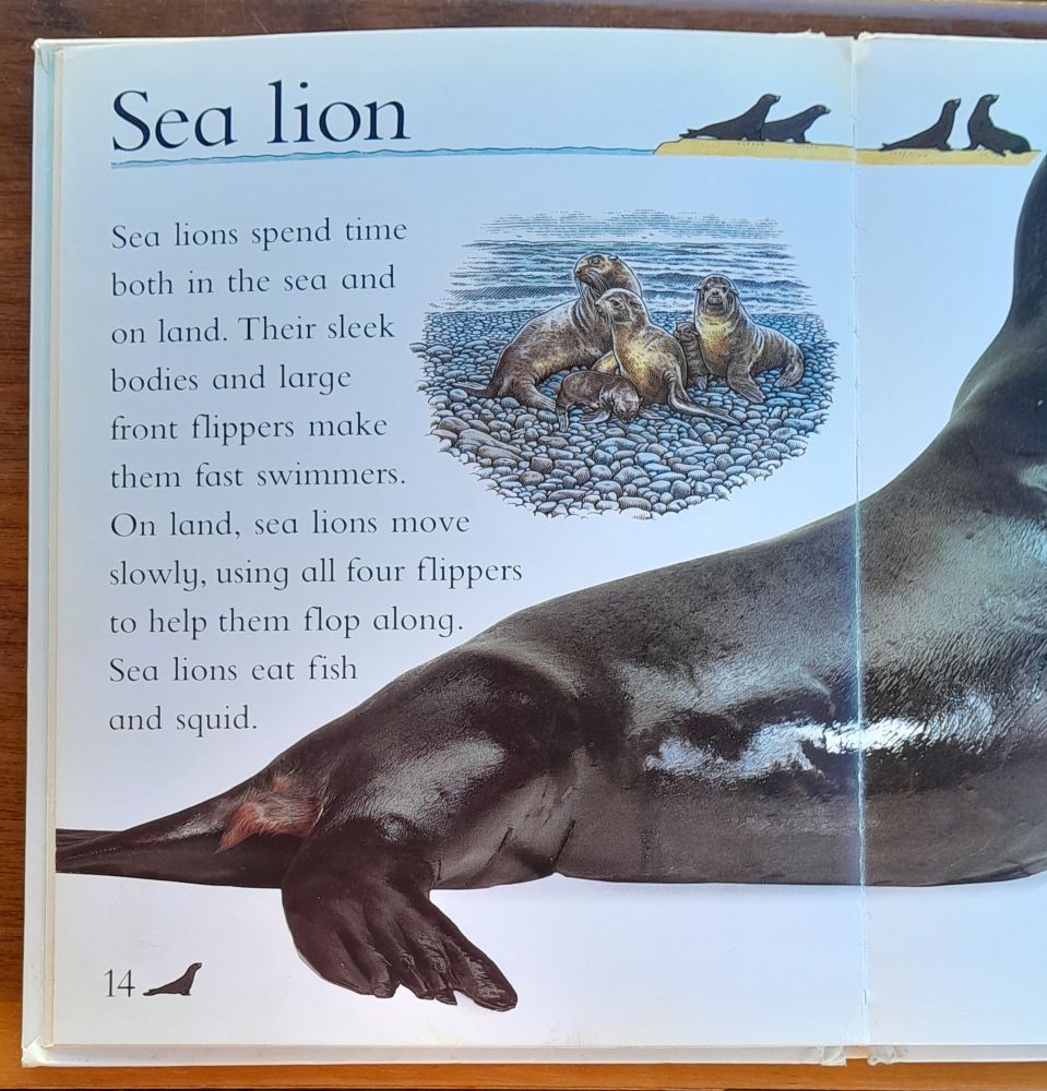 Sea Animals / Eye Openers