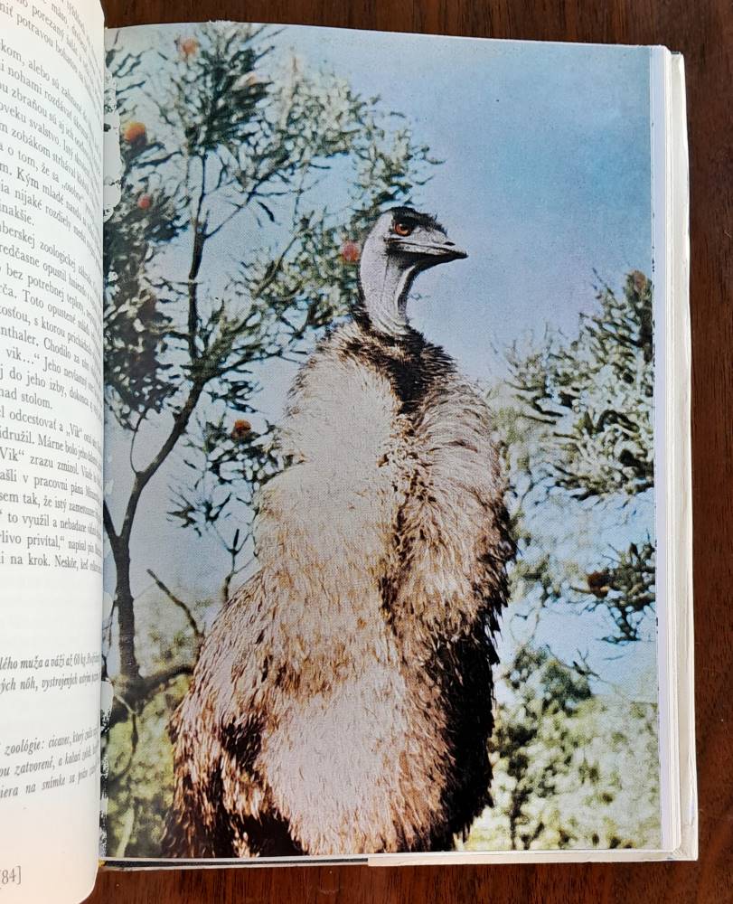 Štvornohí Austrálčania / Dobrodružstvá so zvieratami a ĺudmi na piatom kontinente