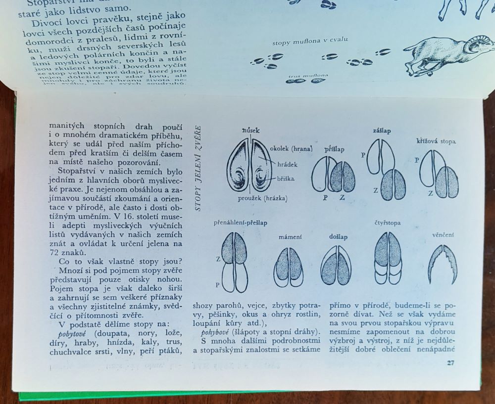 Pozorujeme přírodu / Edice JAK svazek 68