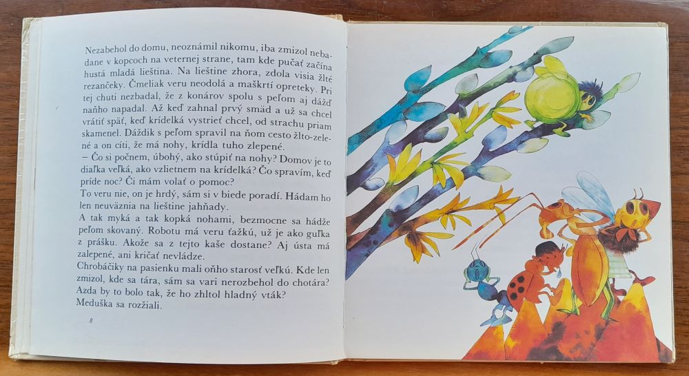 Slniečko na motúze / KMČ