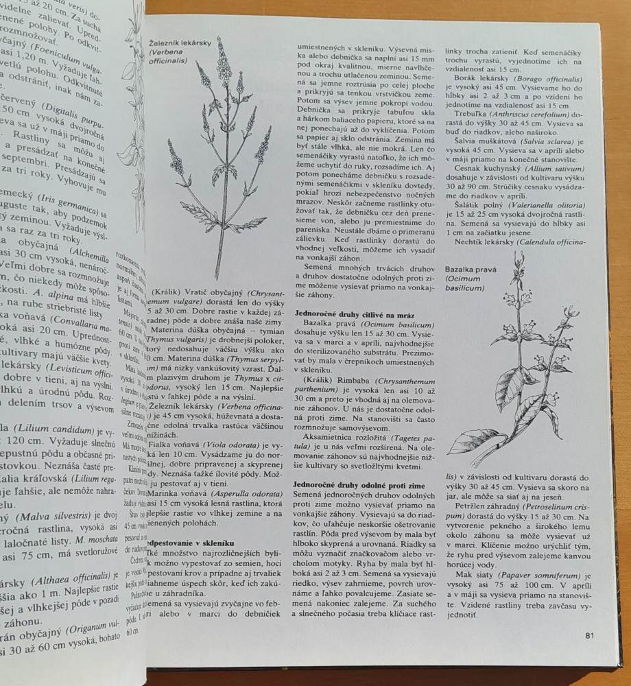 Leto v záhrade / Odborne upravil Jan Tykač