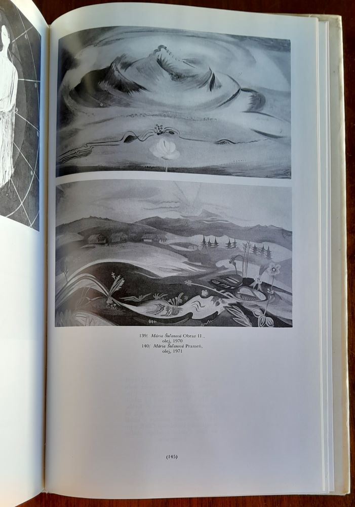 Nežnou rukou / Z tvorby slovenských výtvarníčok