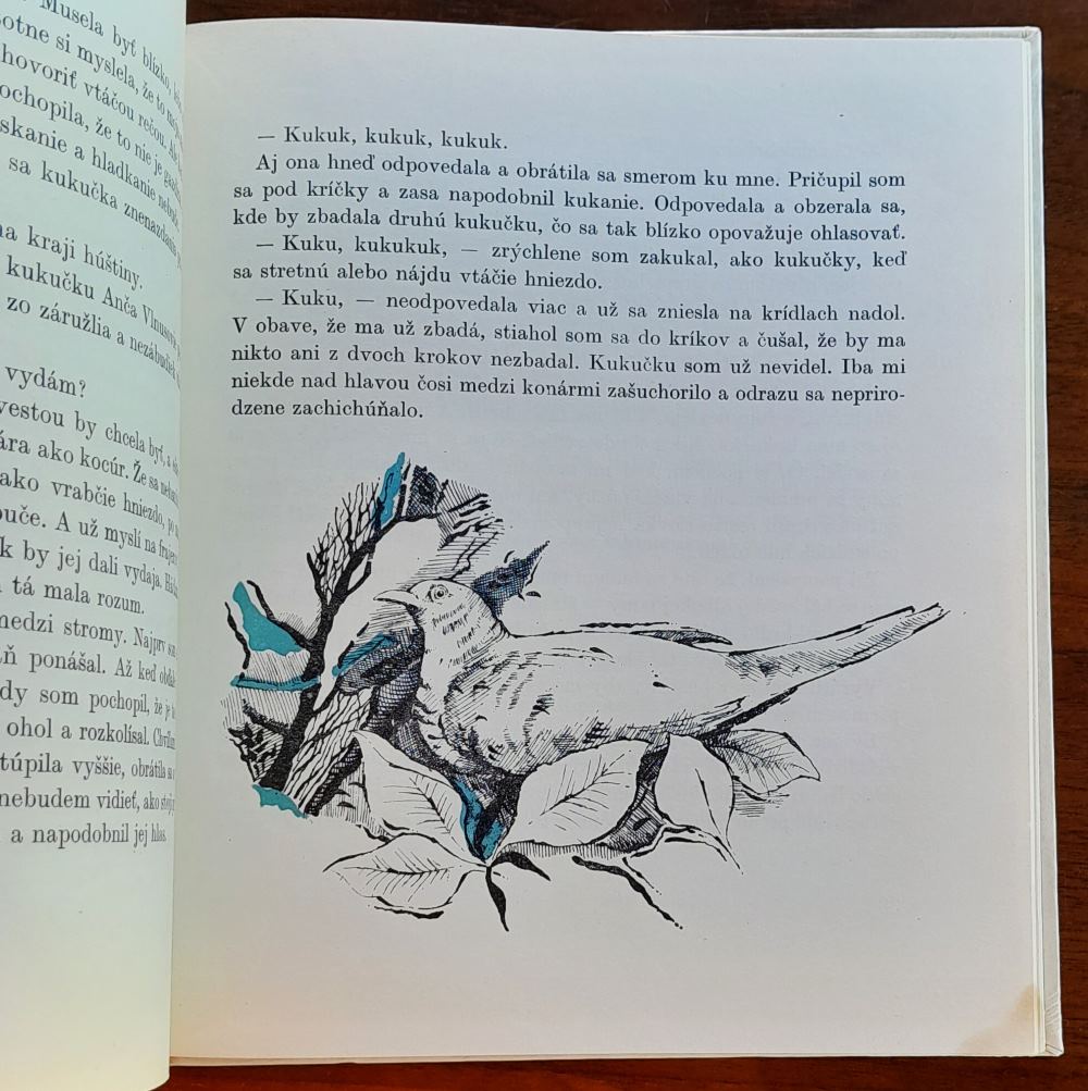 Šťastnú cestu, ryšavec!