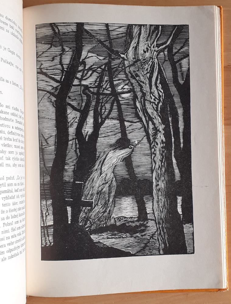 Stálice / Výber z noviel a poviedok 19. storočia