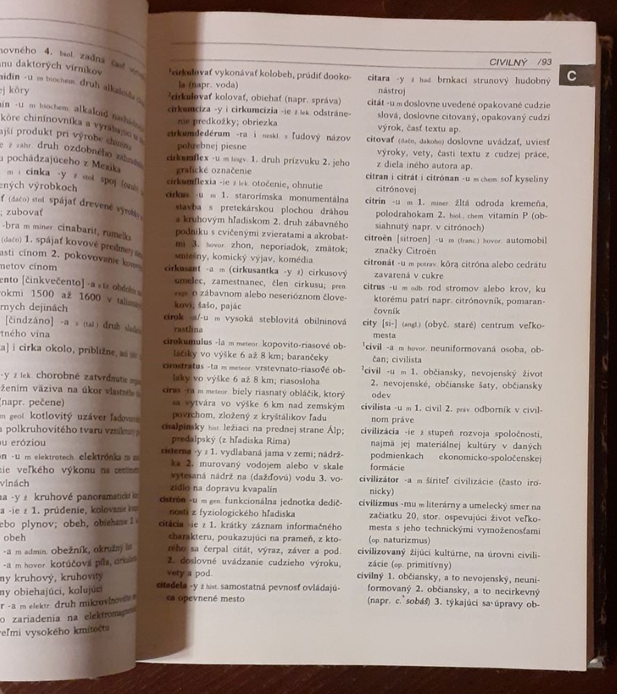 Slovník cudzích slov pre školu a prax