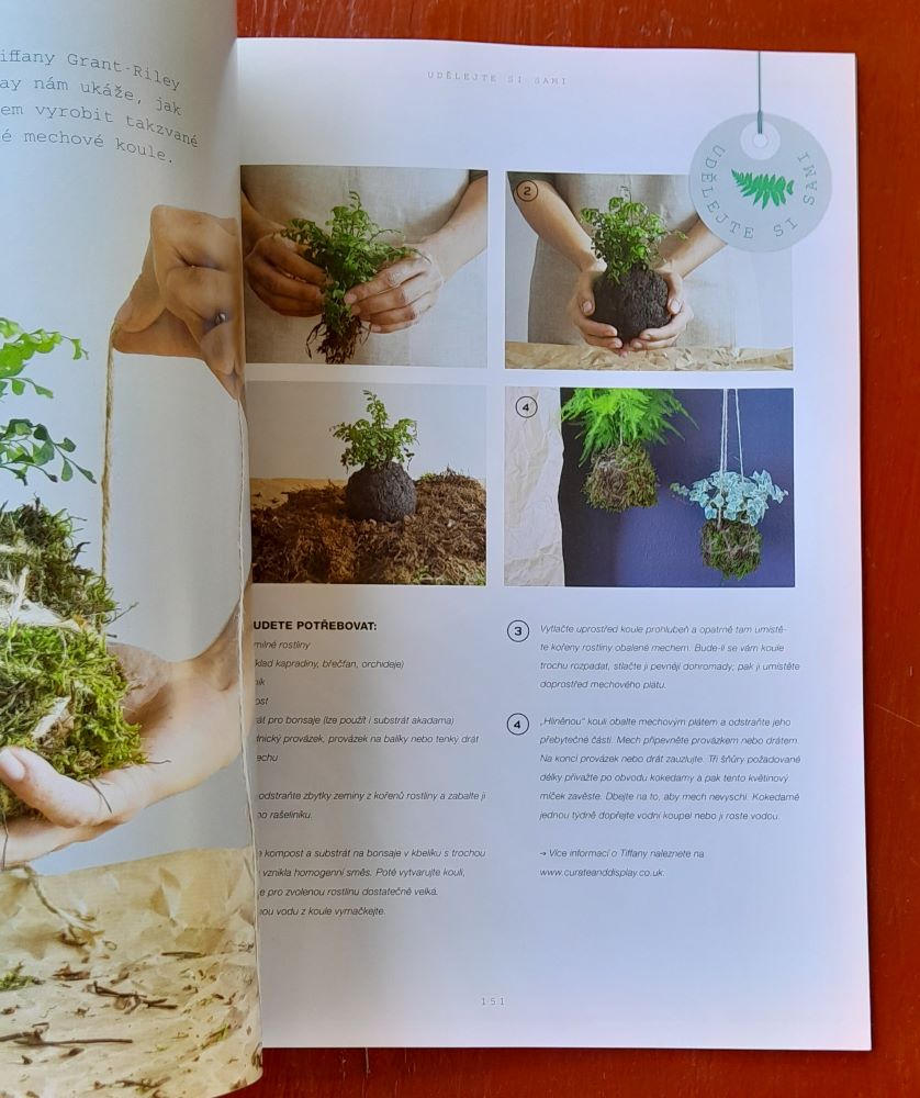 Urban Jungle / Krásný byt plný pokojových rostlin