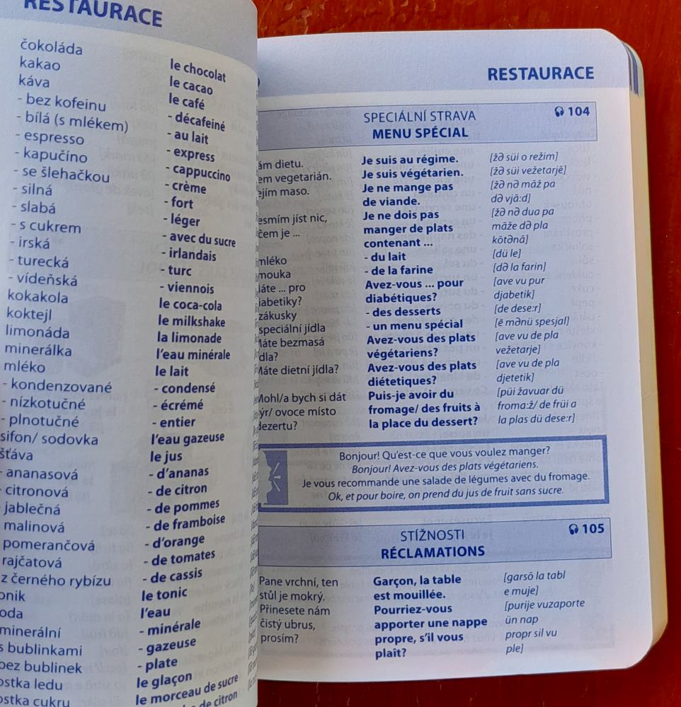 Francouzština konverzace a slovník / Conservationtchéque-francais & dictionnaire