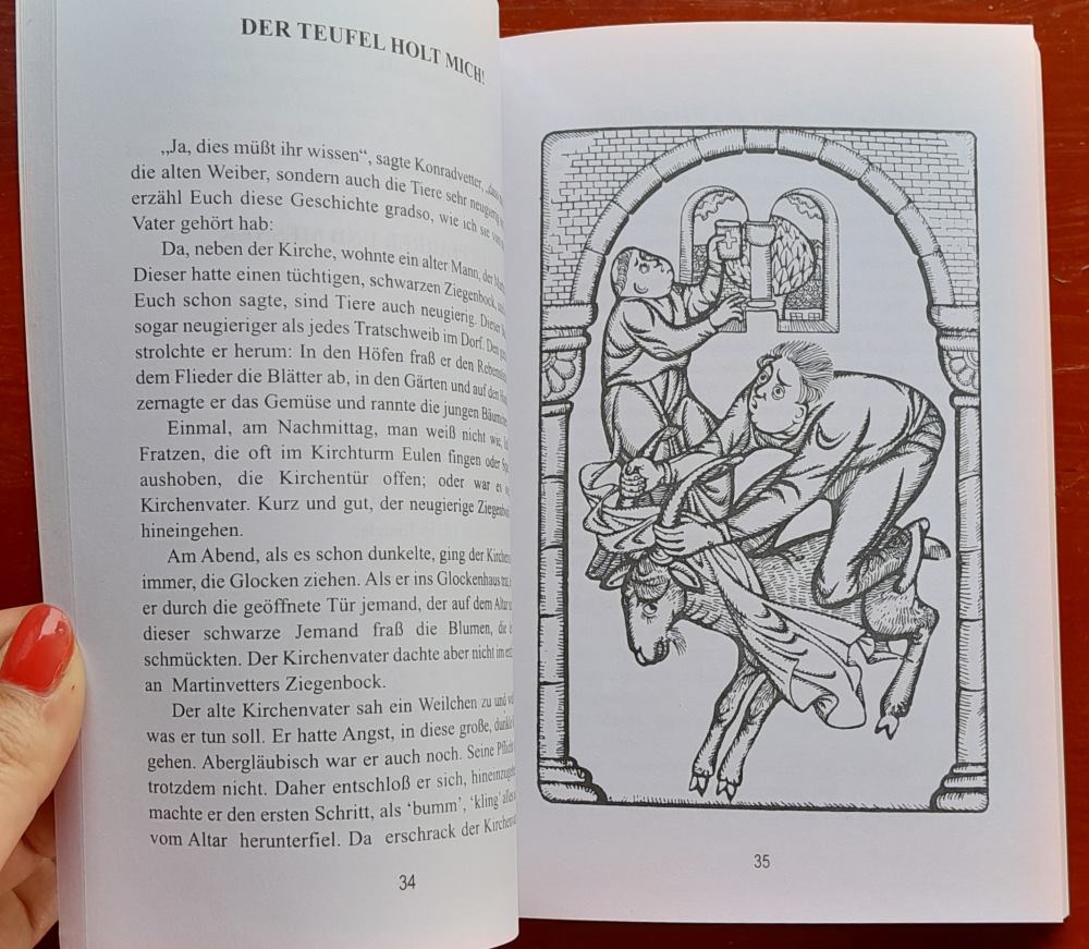 Krieg im Scherbenland / Volksgut - Geschichte - Mundart der Sathmarer Schwaben, Helmut Berner / Illustrationen Helga Unipan