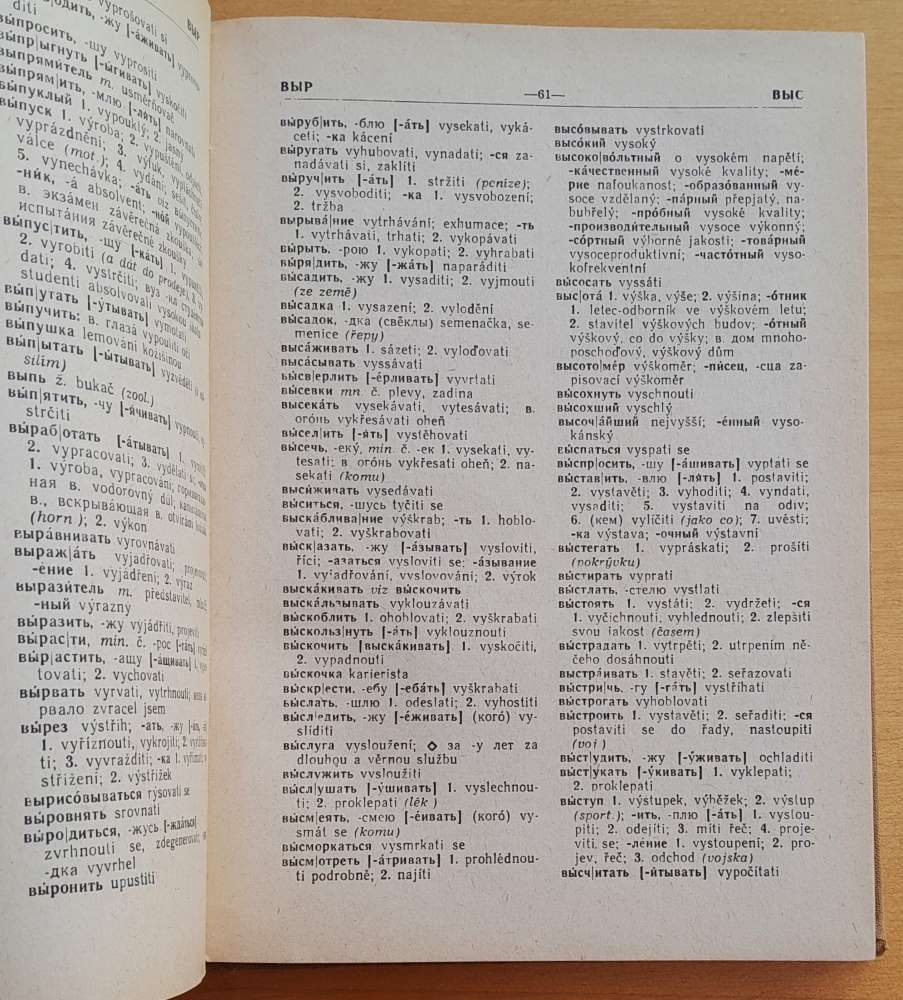 Příruční rusko český slovník
