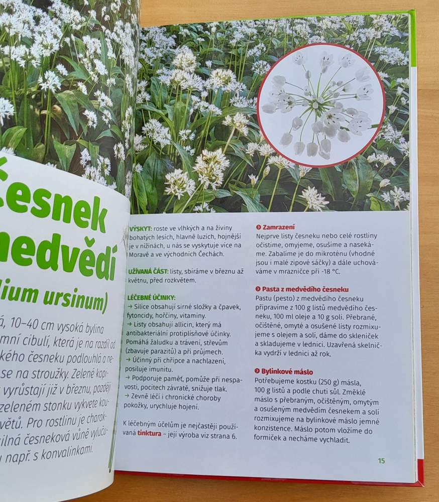 Zelená lékárna / 33 léčivek na běžná onemocnění / Jak je sbírat a sušit / Čaje, odvary, sirupy a tinktury / edice Receptář