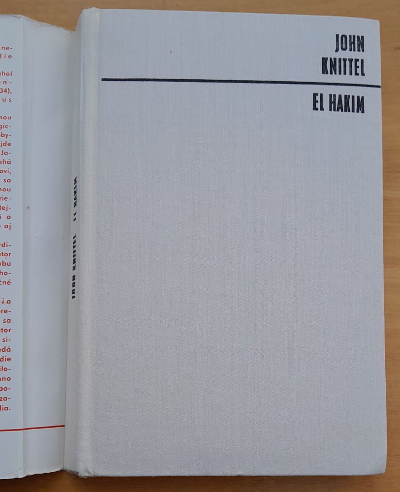 El Hakim / Román z novočasného Egypta