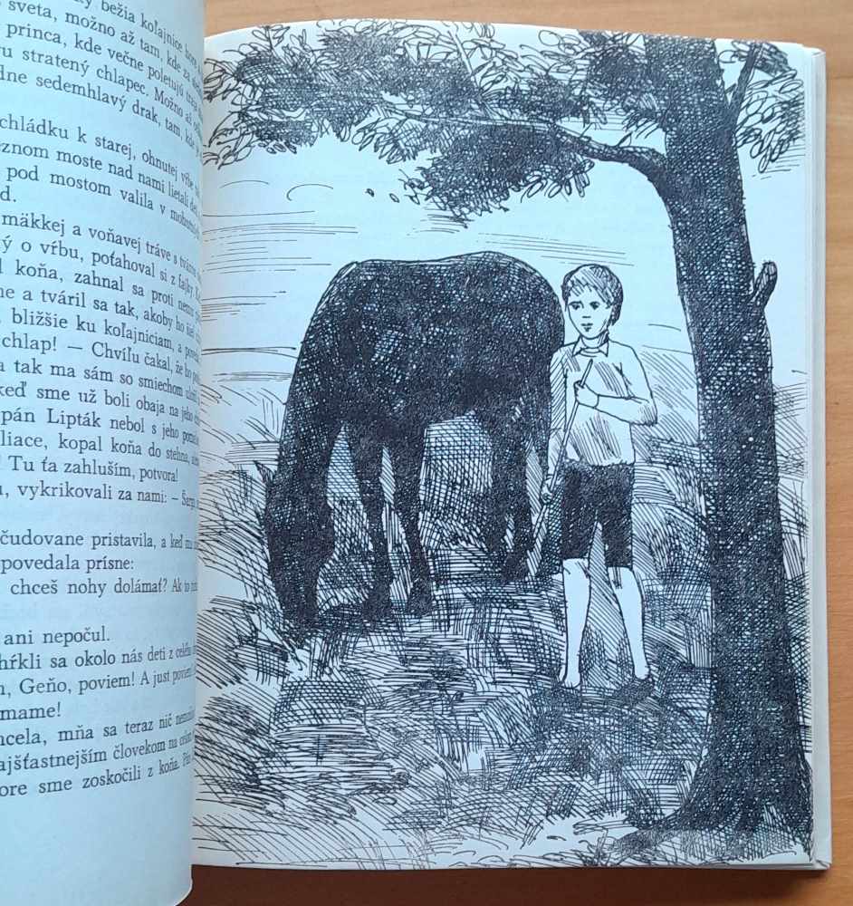 Šantivé roky / Edícia Úsvit