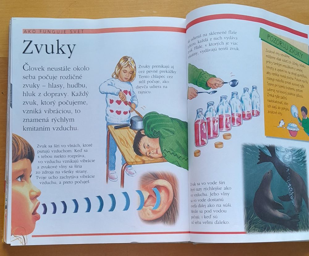 Tvoj svet / Prvá encyklopédia s tipmi pre zvedavé deti