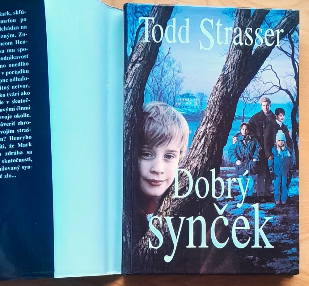 Dobrý synček