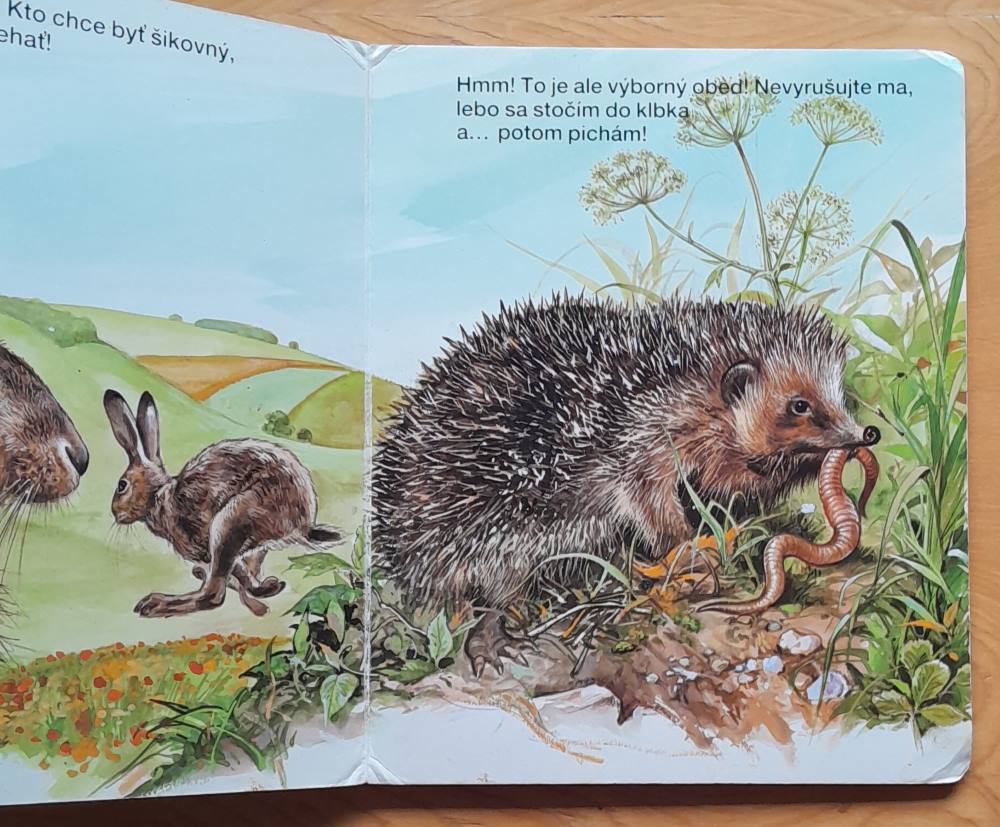 Moje najmilšie zvieratká v lese