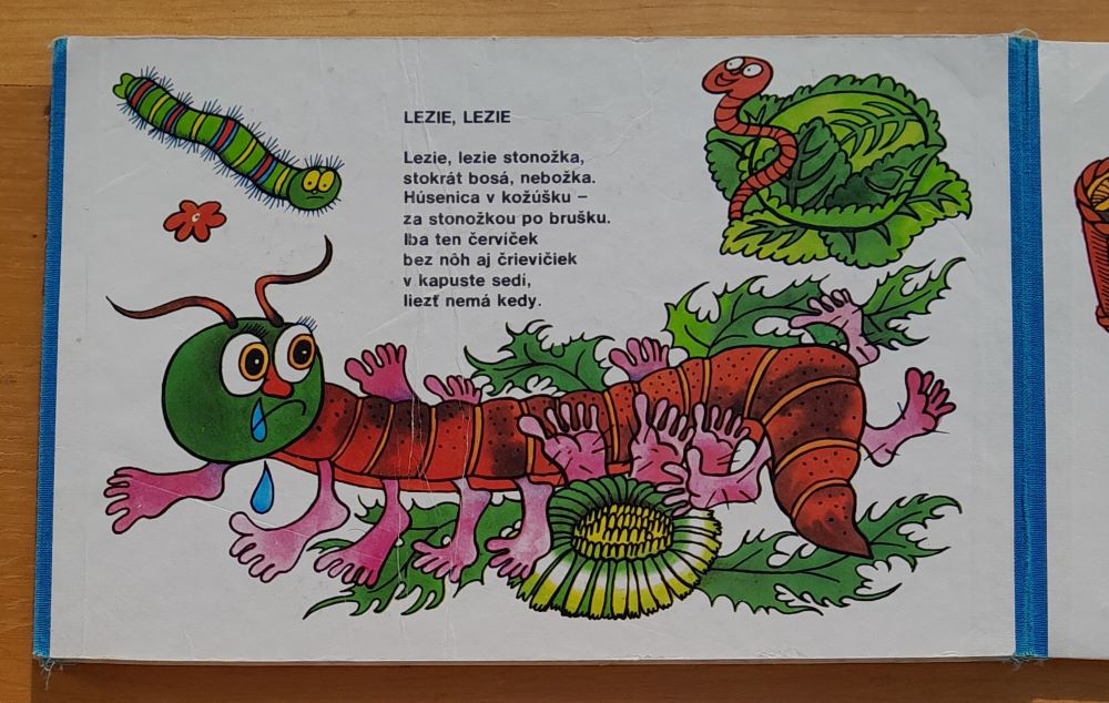 Ošudilo šidlo vážku