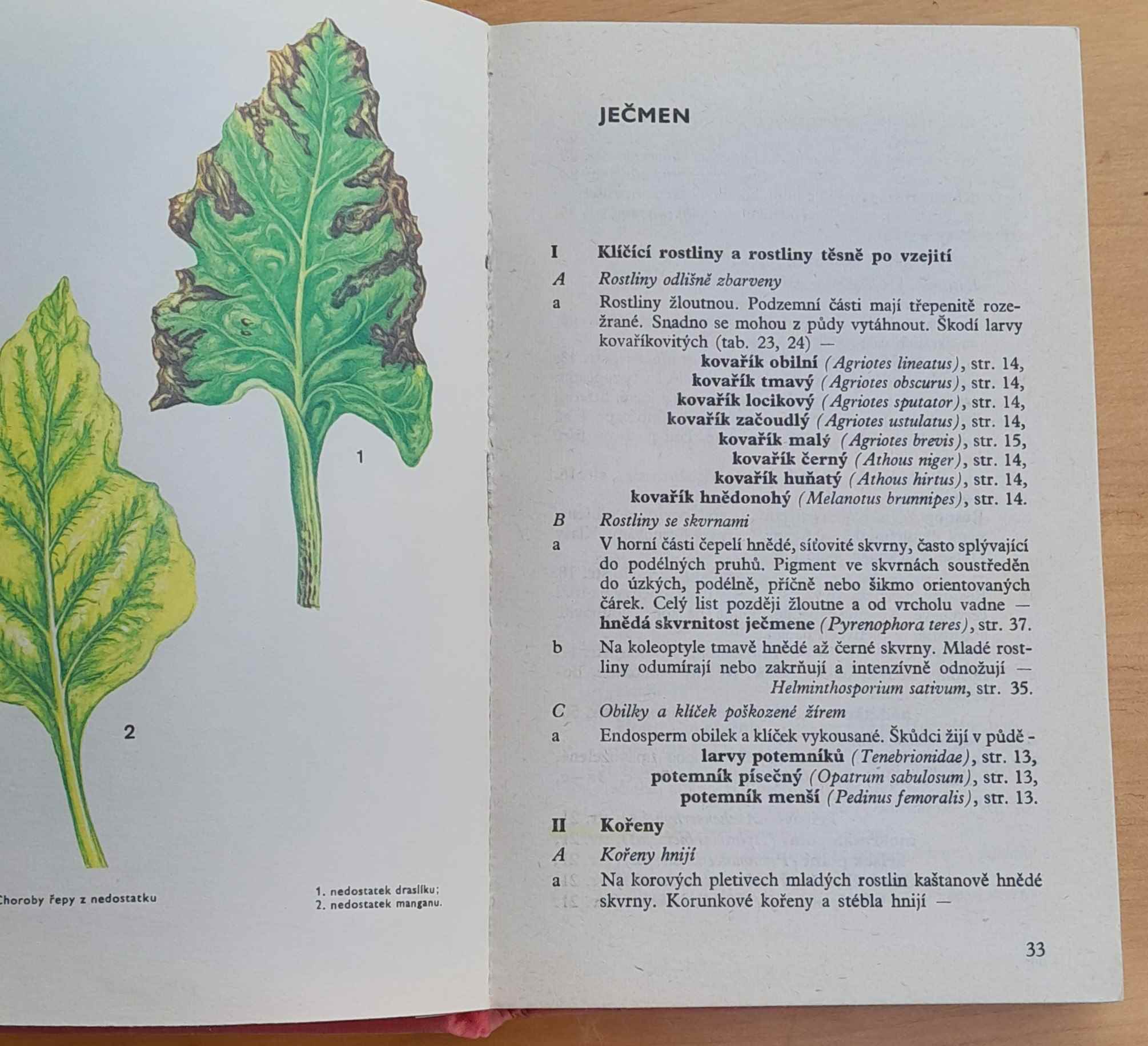 Klíč k určování chorob a škúdcú polních plodin
