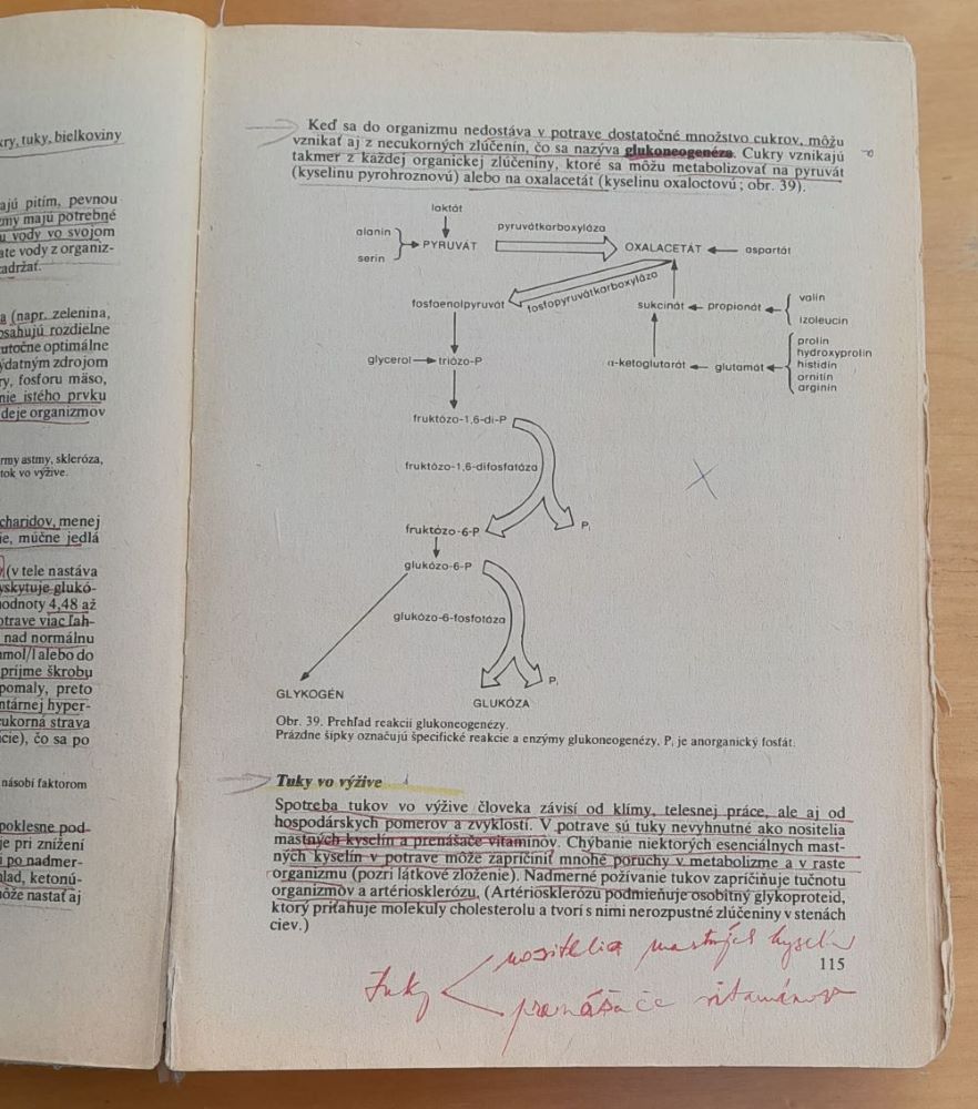 Fyziológia živočíchov a človeka