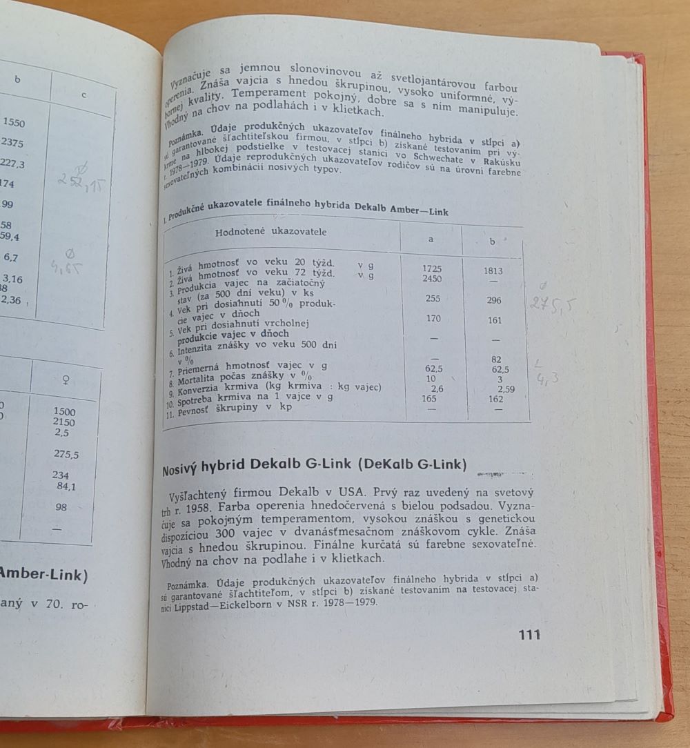 Najvýkonnejšie plemená a typy hydiny / Živočíšna výroba