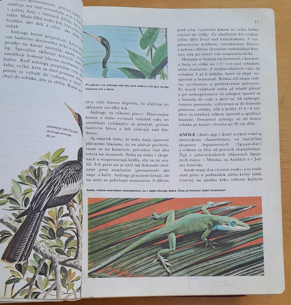 Svet živočíšnej ríše / Ilustrovaná encyklopédia