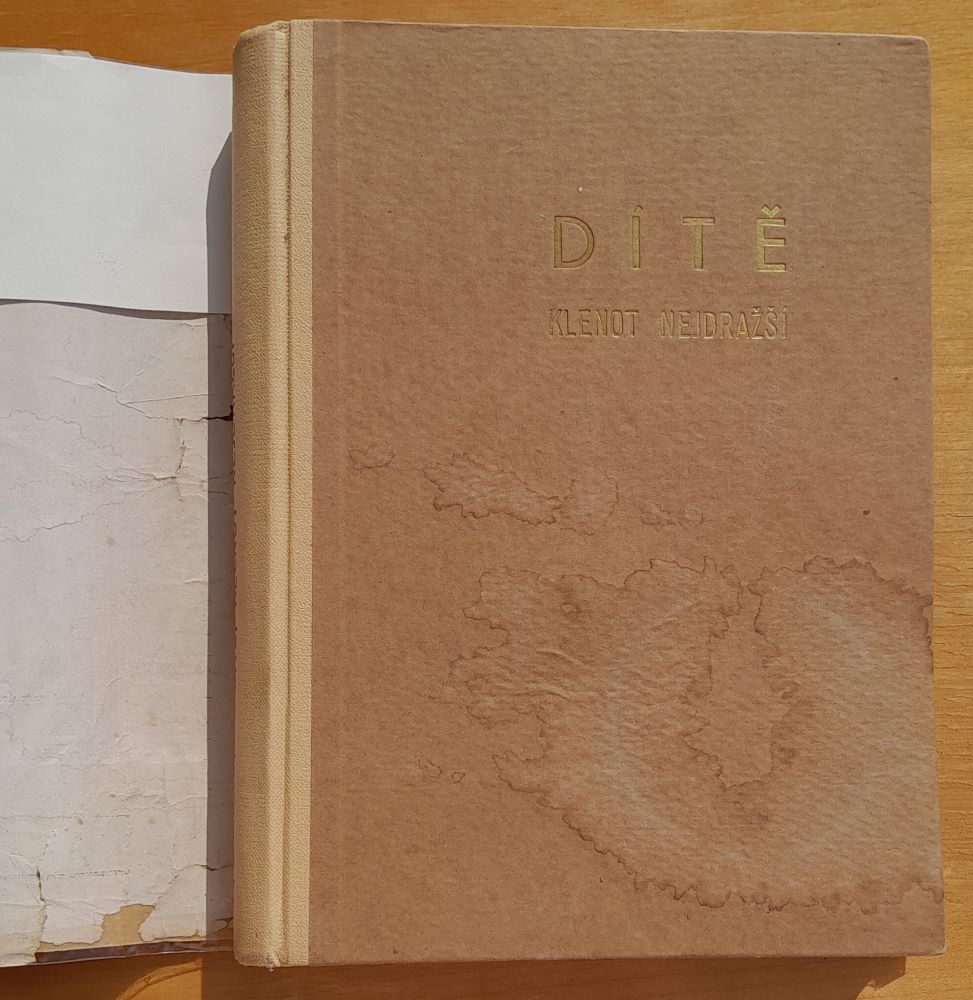 Dítě, klenot nejdražší