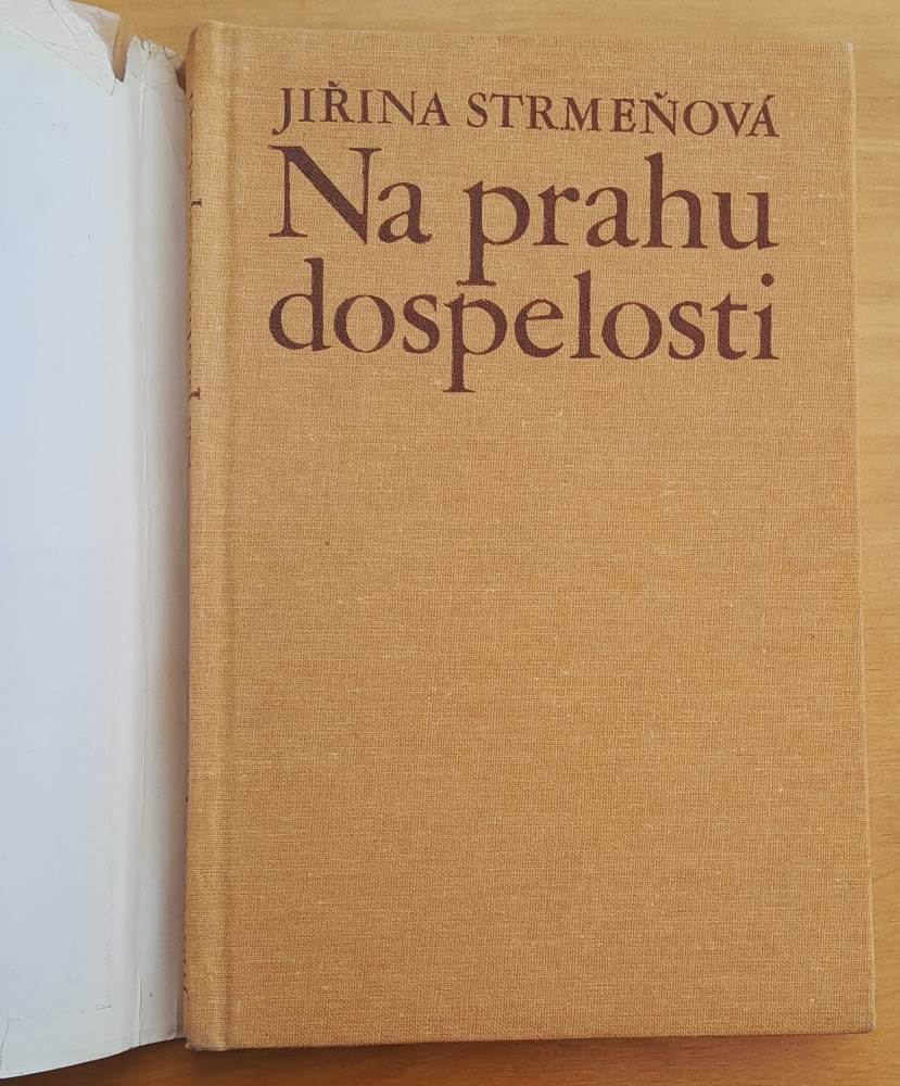 Na prahu dospelosti