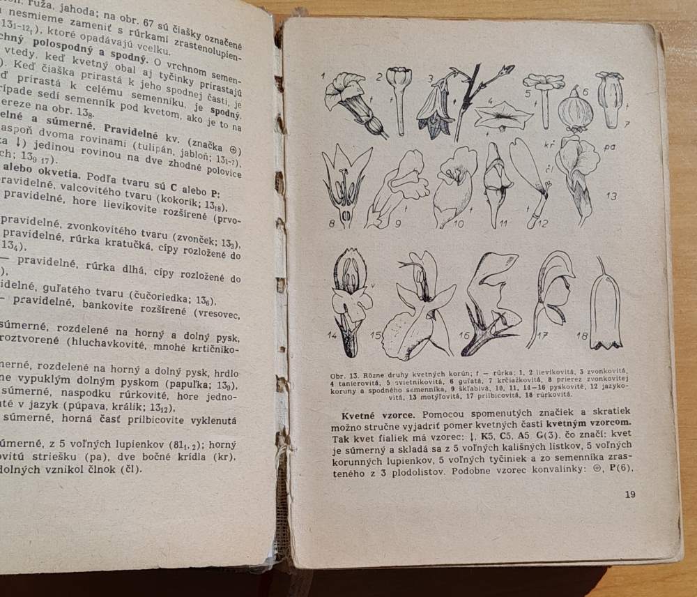 Kľúč na určovanie rastlín