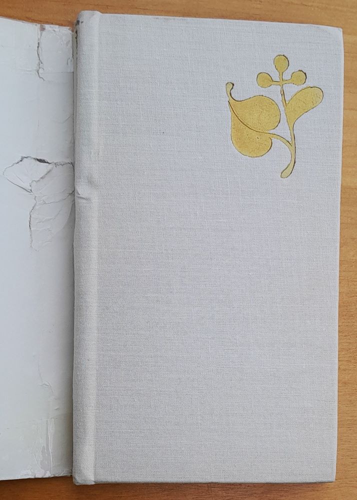 Stručný přehled dějin českých doby starší (až po rok 1526)