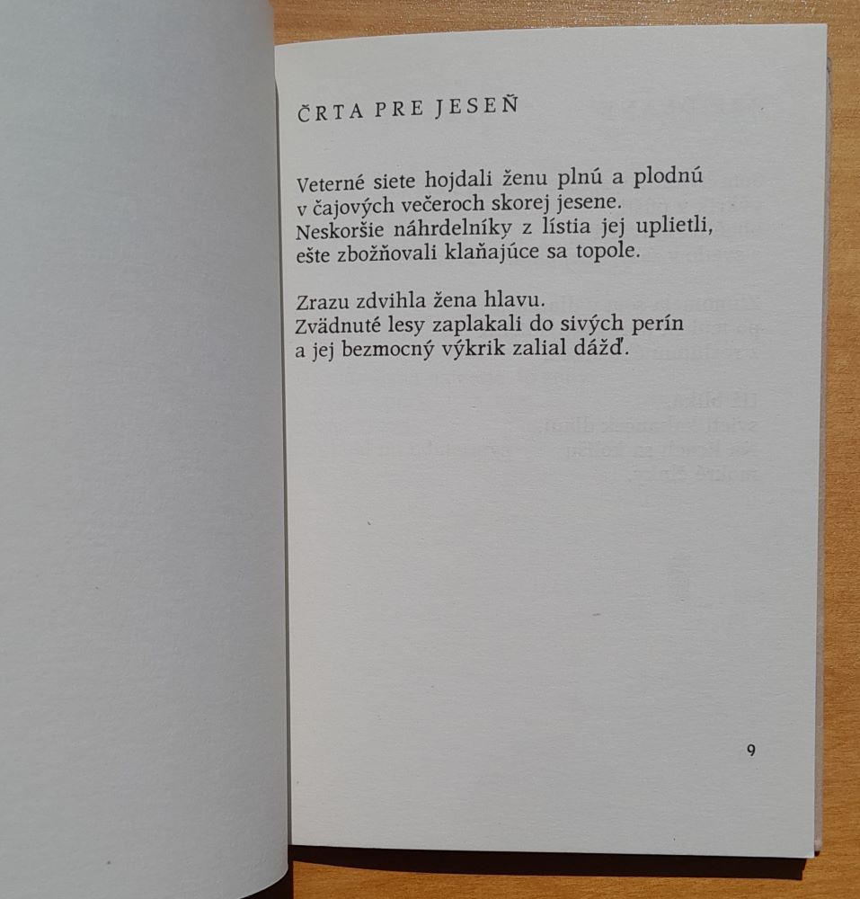 Krivky / Mladá tvorba